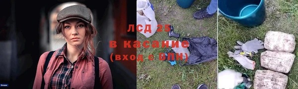 прущий лед Алзамай