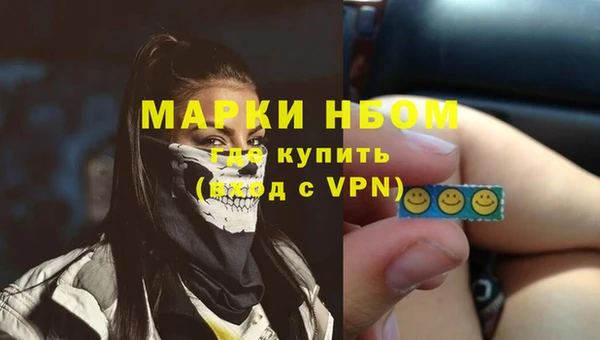 прущий лед Алзамай