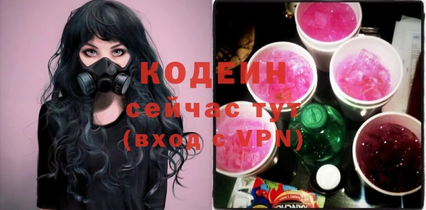 прущий лед Алзамай