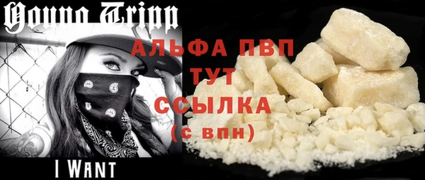прущий лед Алзамай