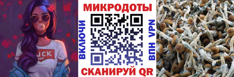 Галлюциногенные грибы MAGIC MUSHROOMS  дарнет шоп  Ясный 